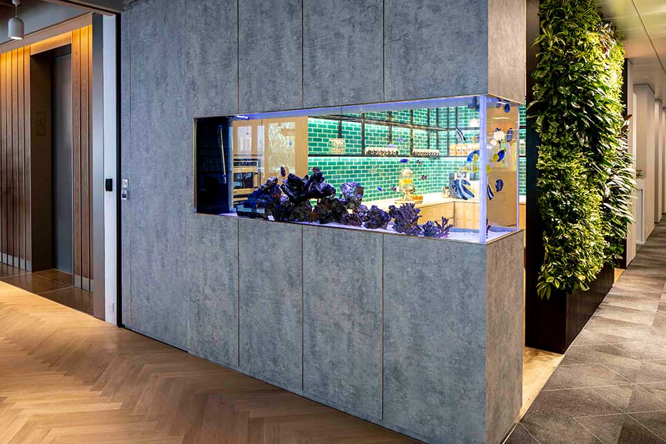 Wall view