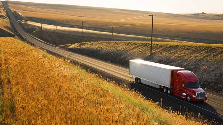 capital markets, agricultura, investimento