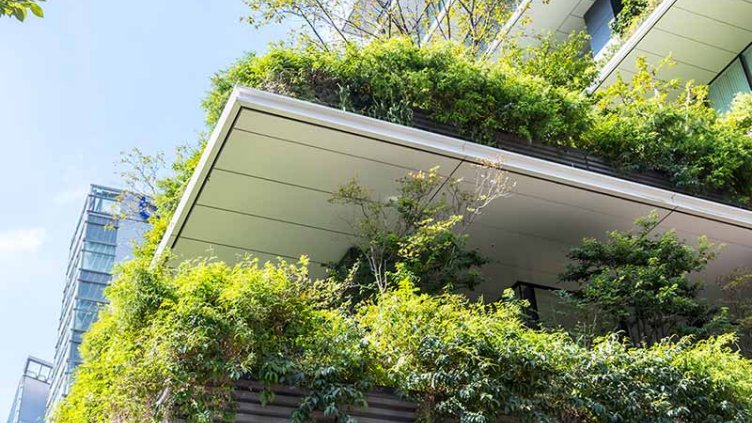 A building adorned with greenery, featuring plants growing along its exterior walls.