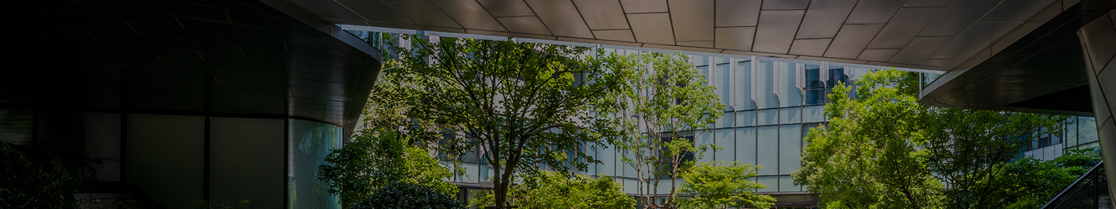 Internal office garden viewed from underpass