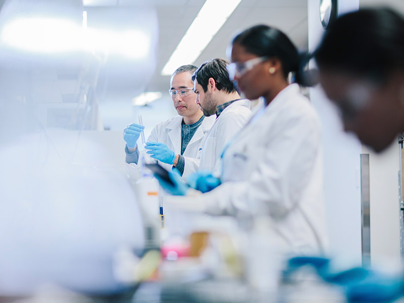 Doctors examining test tubes in laboratory